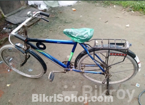 Cycle